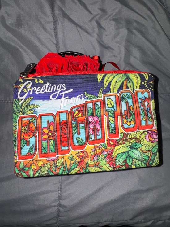 Brighton “Greetings From Brighton” Postcard Zip Pouch Cosmetic Bag Travel Case - Picture 2 of 6